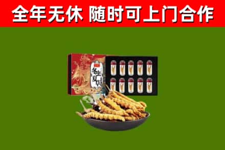 宿豫回收冬虫夏草价格