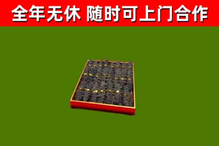 宿豫回收海参